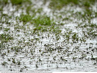 Allianz League fixtures rearra...